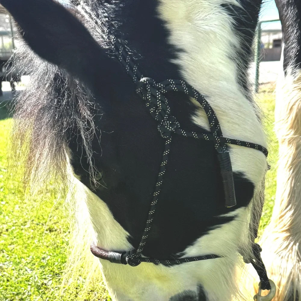 Handmade In Southern California, Bosal style Rope Halter - Picture 2 of 16